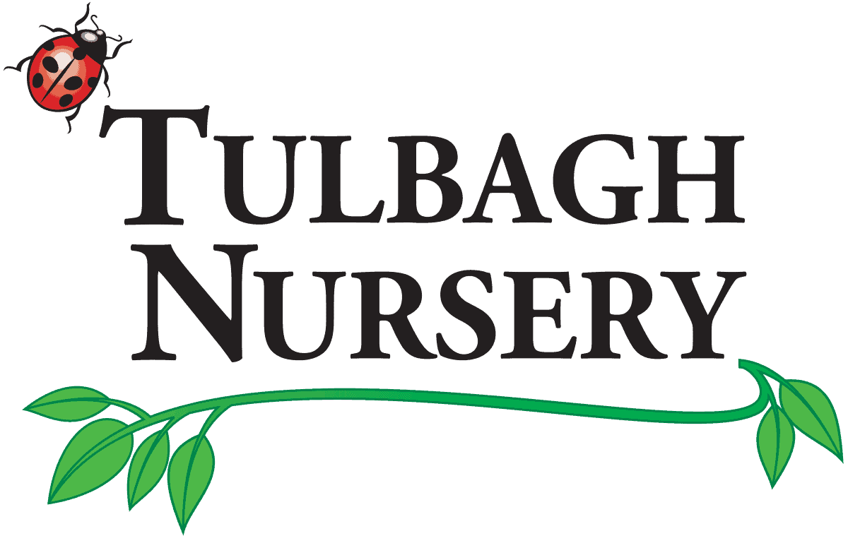 Tulbagh Tree & Plant Nursery